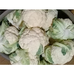 Alimentele din care se prepar bucatele