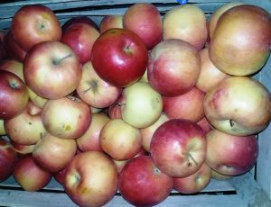 Produsele din care se prepară bucate în luna februarie la IET NR.227