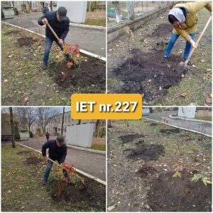 Campania de înverzire și plantare a arborilor in IET nr. 227