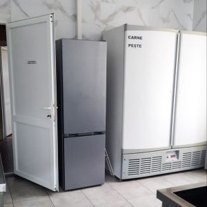 Reparația blocului alimentar în Grădinița nr. 227
