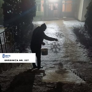 Combaterea poleiului pe teritoriile instituțiilor educaționale din sectorul Centru